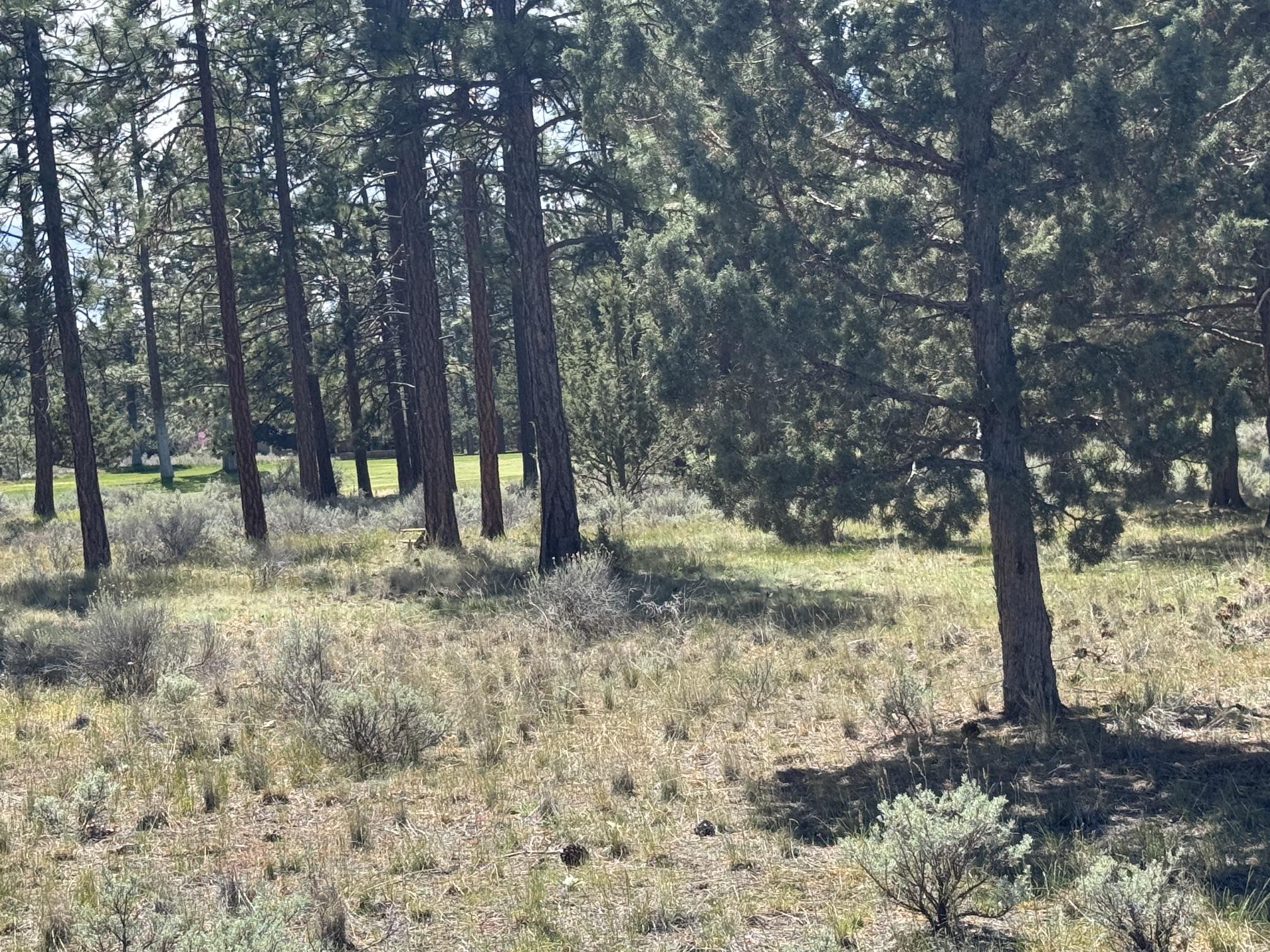 Land in Weed 2