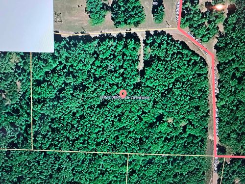 tbd Pine Ridge Rd, Clinton, AR, 72031 | Card Image
