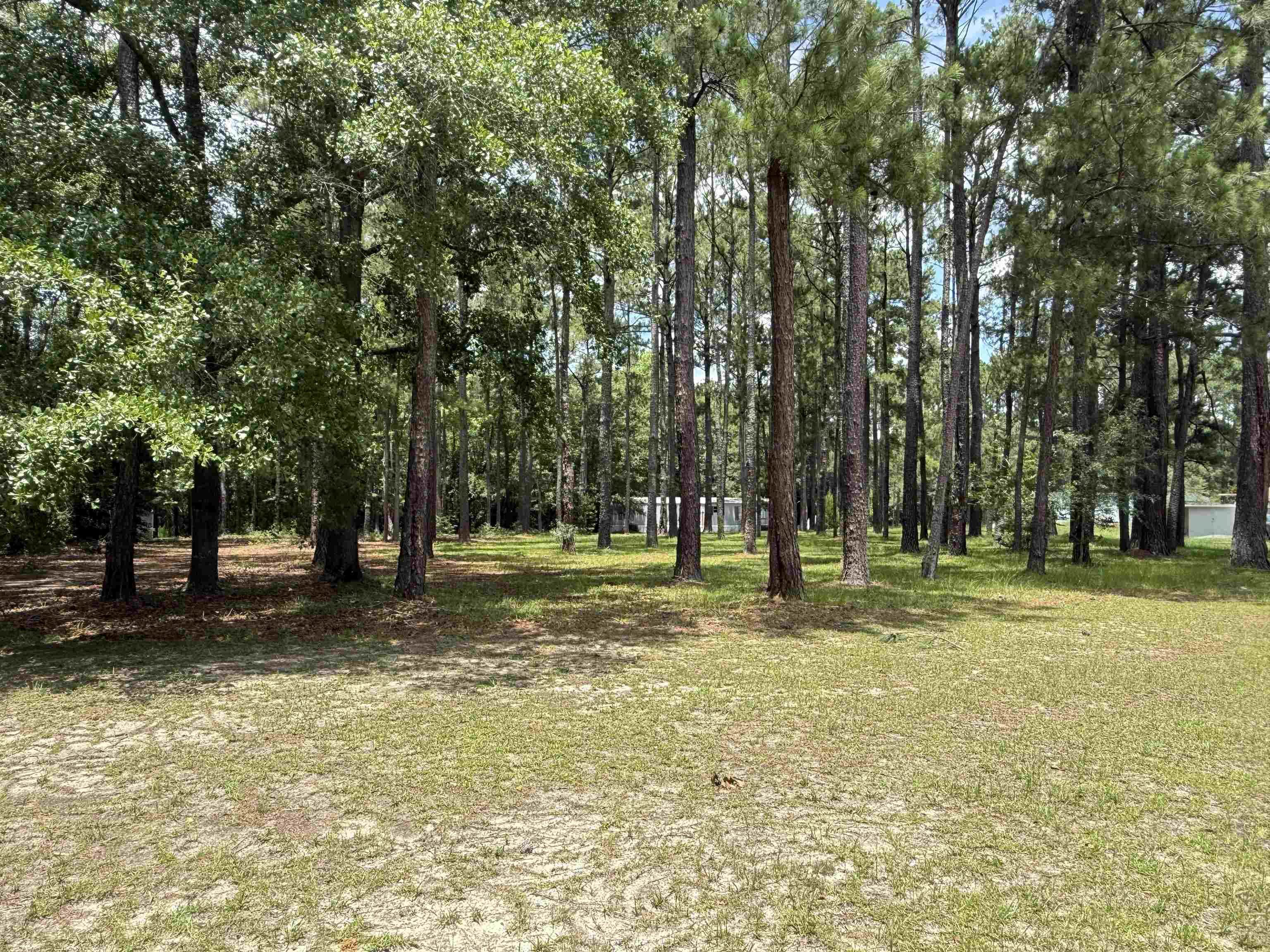 Residential in Conway