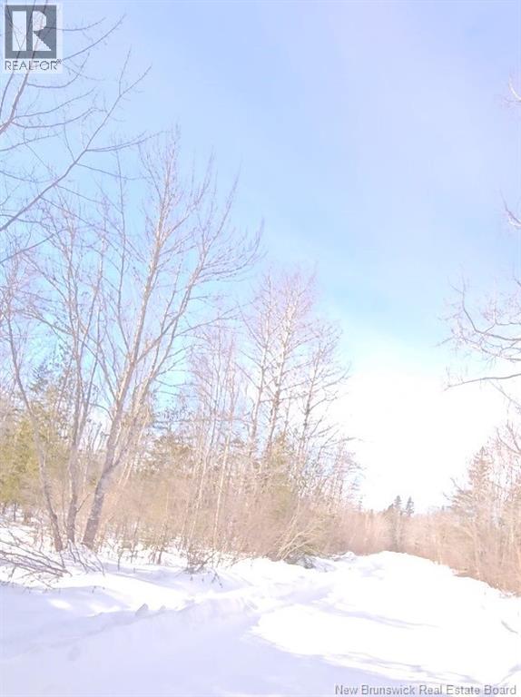 Land in Cormier Village 2