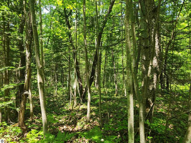 2867 Folks Rd Ne, Home with 0 bedrooms, 0 bathrooms and null parking in Kalkaska MI | Image 5