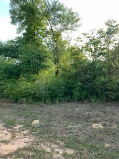 Land in Unknown 4