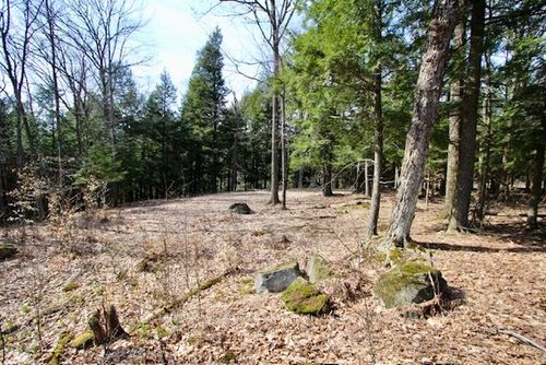 6-22 Gryffin Bluffs Lane, Utterson, ON, P0B1M0 | Card Image