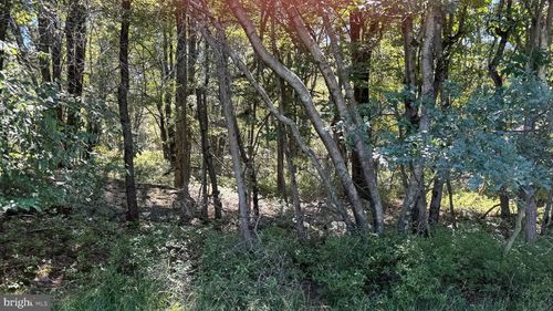 Lot 45 Elk Dr, Blakeslee, PA, 18610 | Card Image