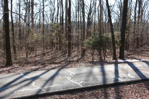 Lot 152 Woodlawn Dr, Fairfield Bay, AR, 72088 | Card Image