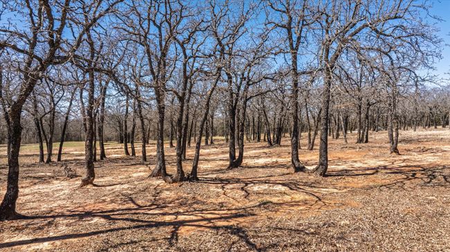 1900 Coleman Ranch Rd, House other with 3 bedrooms, 2 bathrooms and null parking in Tolar TX | Image 13