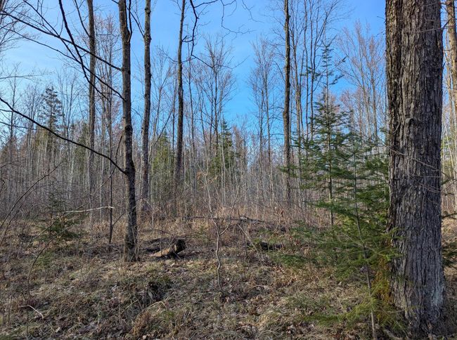 00 Cth X, Home with 0 bedrooms, 0 bathrooms and null parking in PRENTICE WI | Image 19
