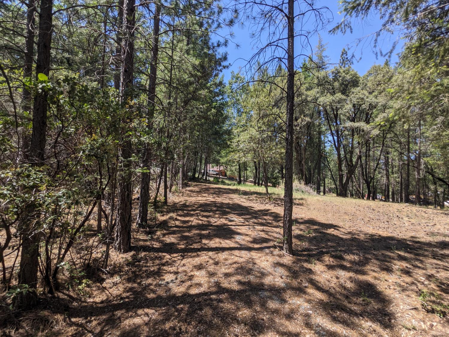 Land in Garden Valley 2
