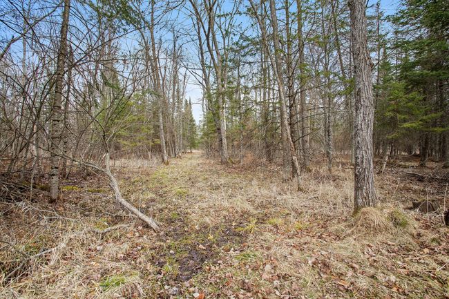 2847 E County Road T, House other with 2 bedrooms, 1 bathrooms and null parking in Dairyland WI | Image 9