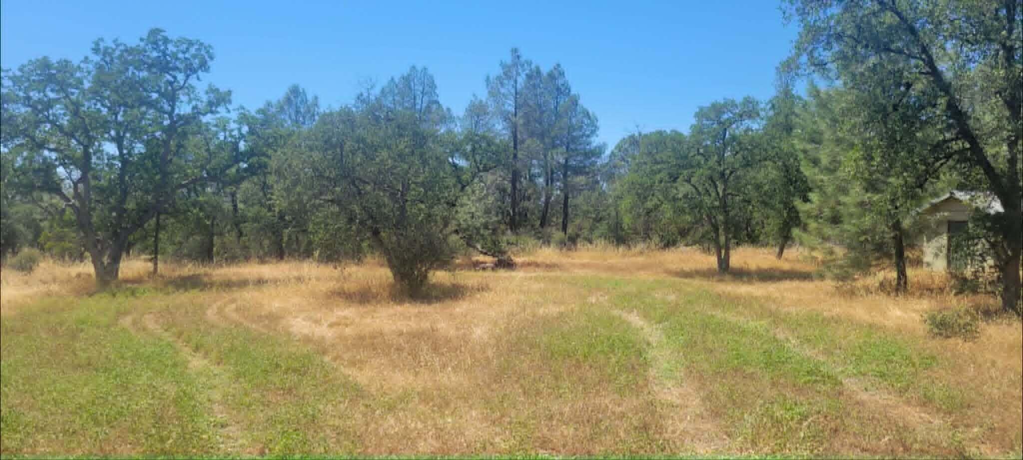 Land in Shingletown 4