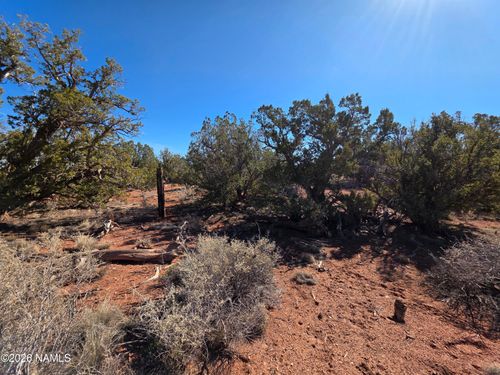 2937 S Fair Oaks, Williams, AZ, 86046 | Card Image