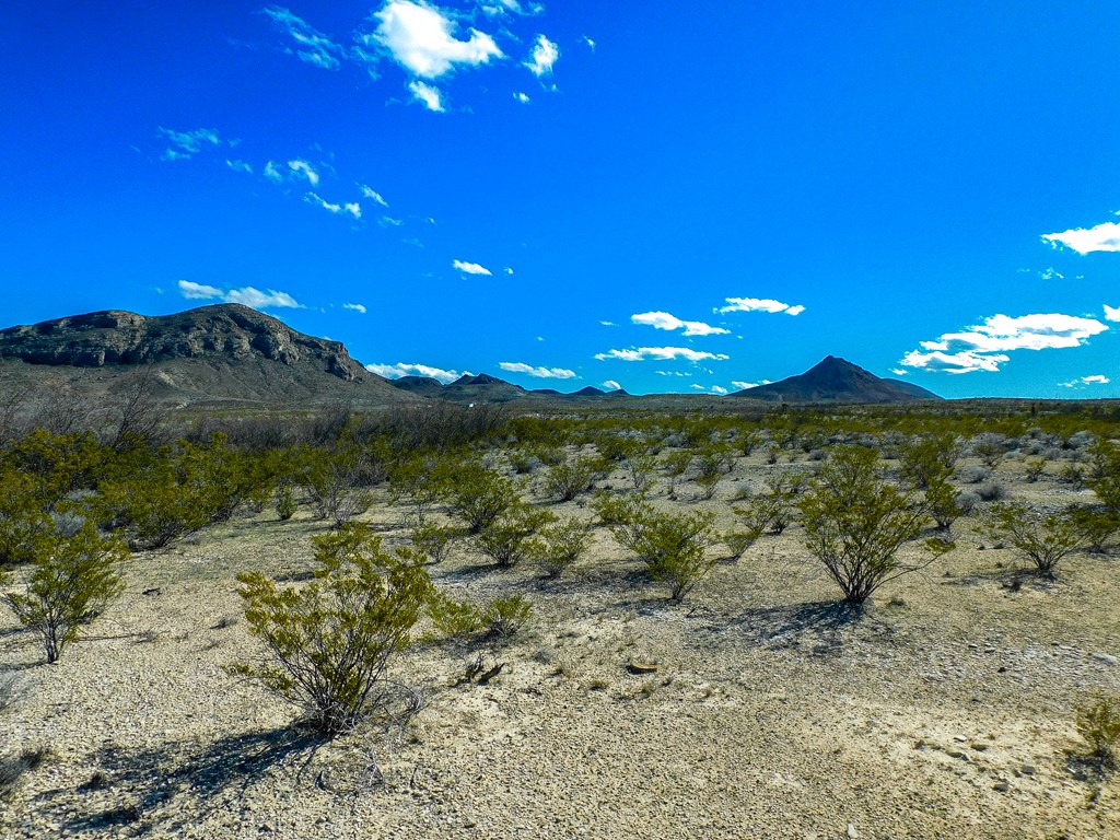 Land in Terlingua 2