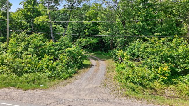 17377 35 Highway, House other with 3 bedrooms, 1 bathrooms and 8 parking in Algonquin Highlands ON | Image 40