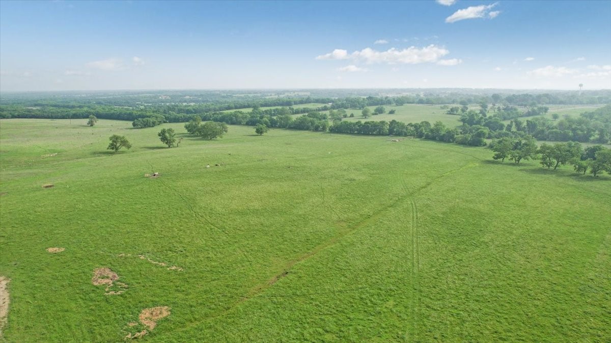 Land in Honey Grove 2