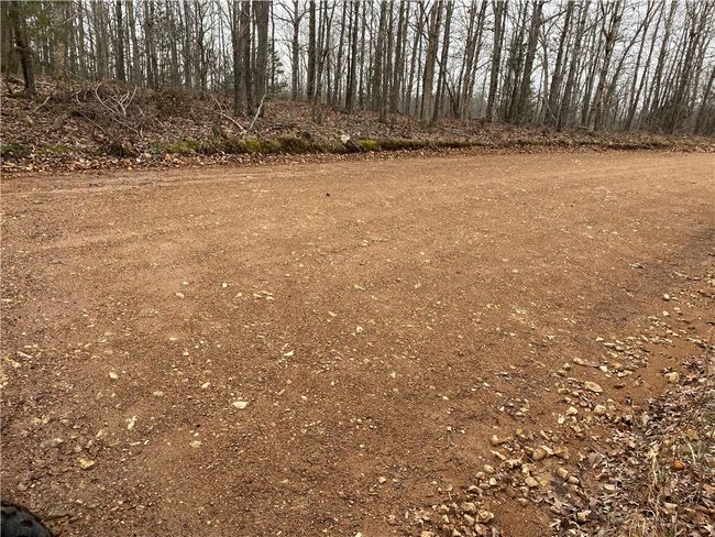 000 Holmes Rd, Home with 0 bedrooms, 0 bathrooms and null parking in Mountain View AR | Image 32
