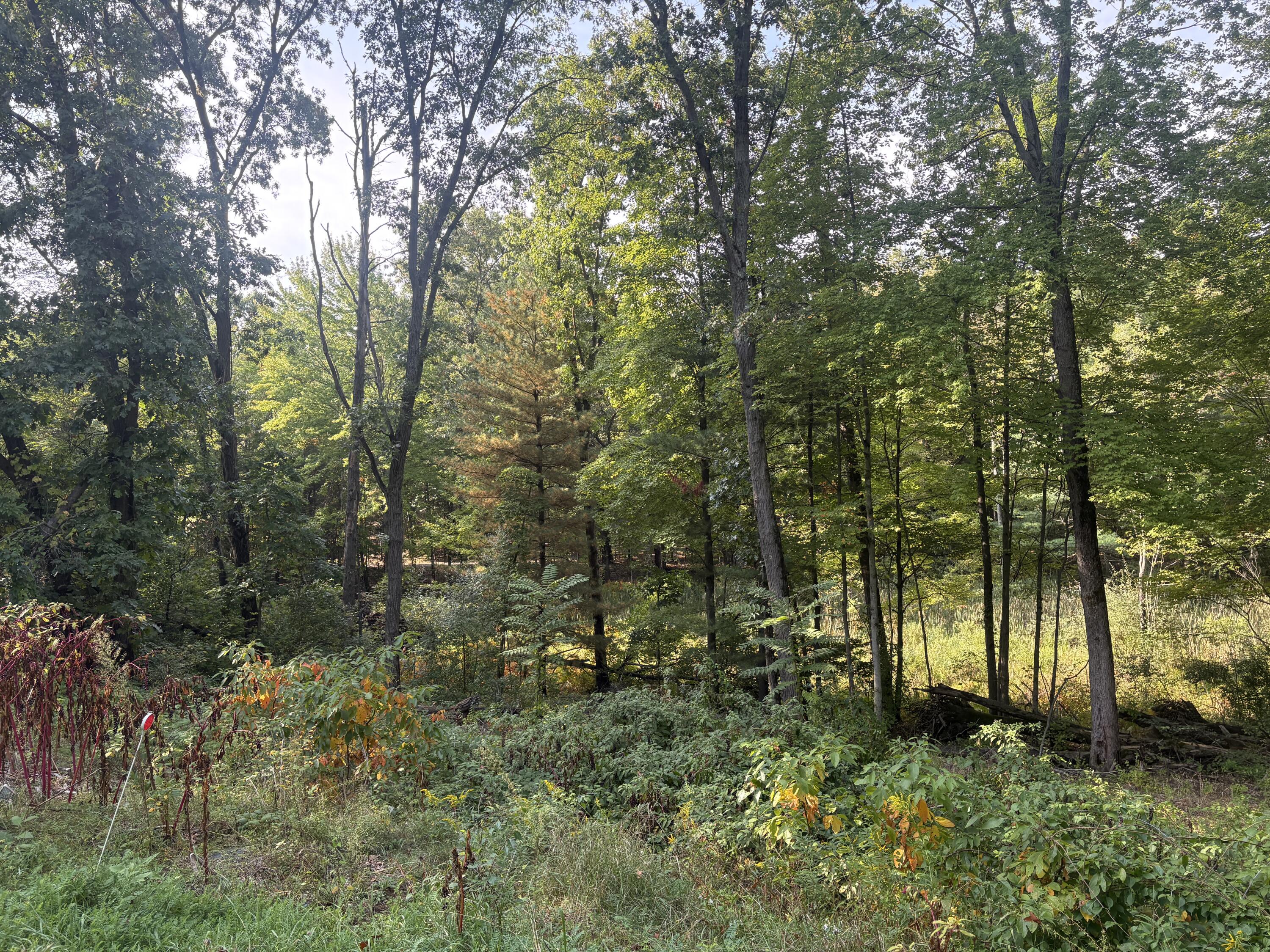 Land in Norton Shores 5