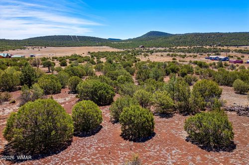 11 County Road N3557, Vernon, AZ, 85940 | Card Image