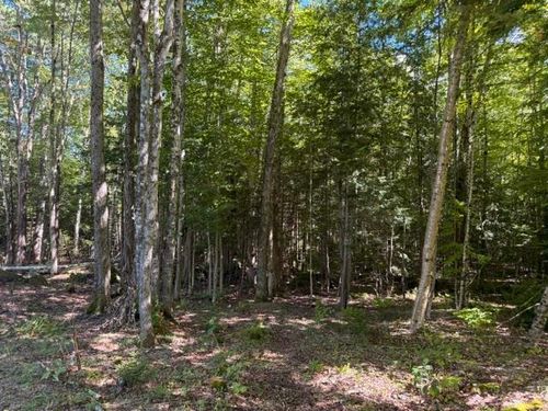 Lot 5 Partridge Rd, Jackson, NH, 03846-5019 | Card Image