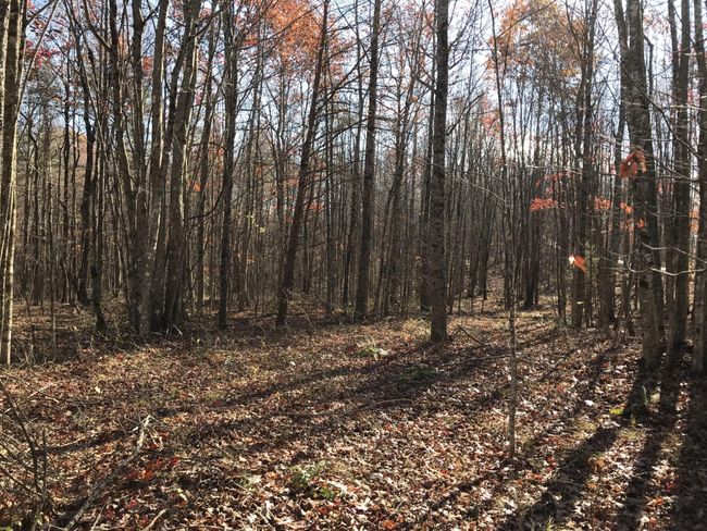 6 Hobbstown Rd, Home with 0 bedrooms, 0 bathrooms and null parking in Dunlap TN | Image 17