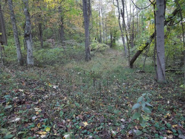 2410 Buckhannon Pike, Home with 0 bedrooms, 0 bathrooms and null parking in Mount Clare WV | Image 34