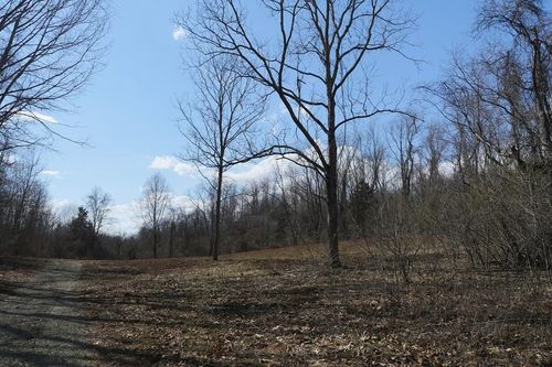 TBD Chestnut Tower Lane, Max Meadows, VA, 24360 | Card Image