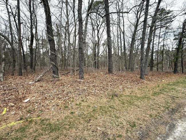0 W White Horse Pike, Home with 0 bedrooms, 0 bathrooms and null parking in Absecon NJ | Image 5