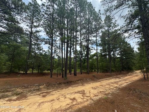 000 Lizzie Jeter Ln, Cameron, NC, 28326 | Card Image