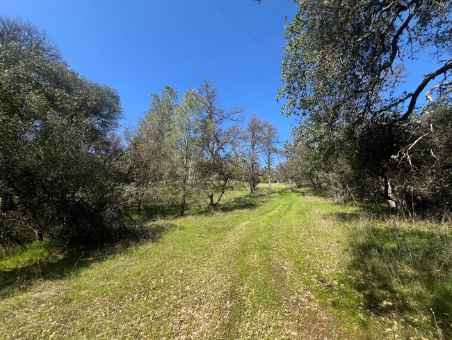 18907 Shake Ridge Rd, Home with 0 bedrooms, 0 bathrooms and null parking in Sutter Creek CA | Image 5
