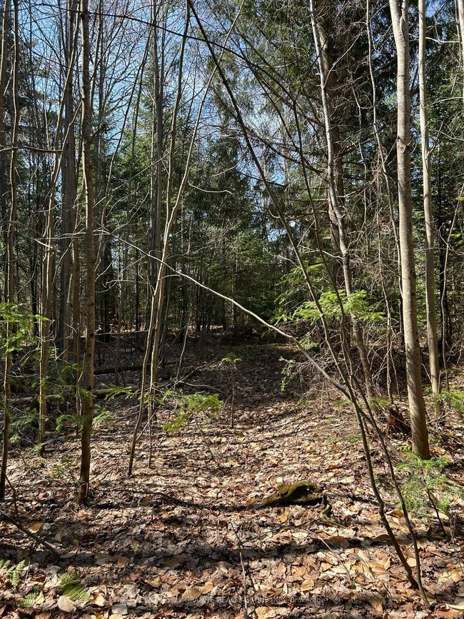 0 Madawaska Rd, Home with 0 bedrooms, 0 bathrooms and null parking in Maynooth ON | Image 6