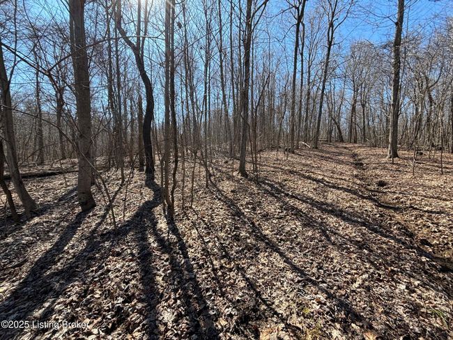 2701 Hardesty Raymond Rd, Home with 0 bedrooms, 0 bathrooms and null parking in Webster KY | Image 21