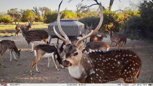 267 County Road 112, Goldthwaite, TX, 76844-3702 | Card Image