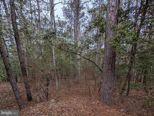 38644 Van Ward Rd, ABELL, MD, 20606 | Card Image