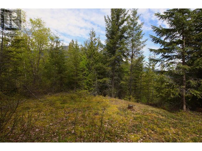 434 Lexington Ave, Home with 0 bedrooms, 0 bathrooms and null parking in Procter BC | Image 12