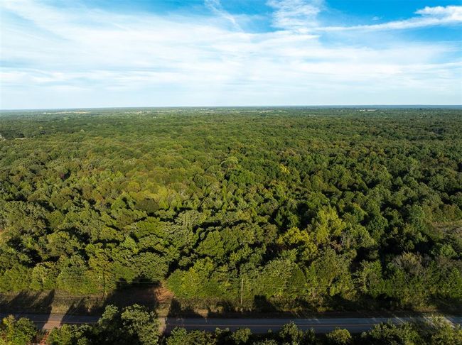 Birds eye view of property with a forest view | Image 29