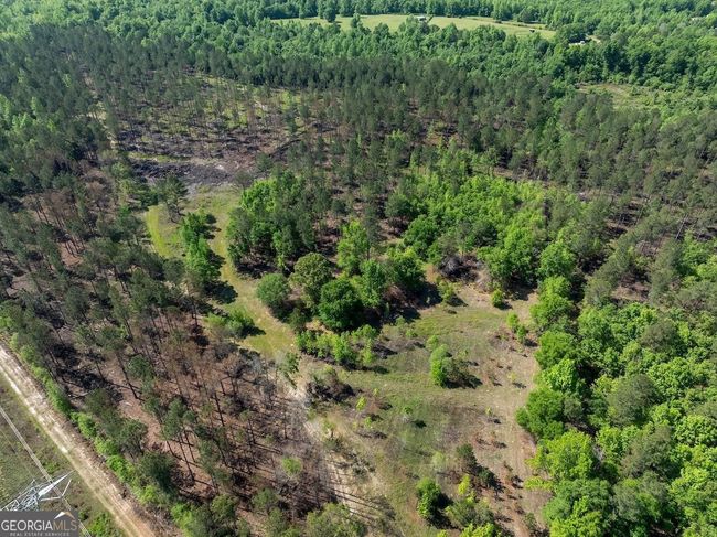 6053 Sun Hill Grange Rd, Home with 0 bedrooms, 0 bathrooms and null parking in Davisboro GA | Image 116
