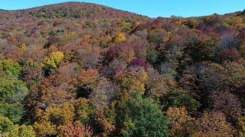 1052 Ccc Rd, Shrewsbury, VT, 05738 | Card Image