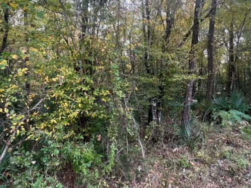 0 County Road 2522, Liberty, TX, 77575 | Card Image