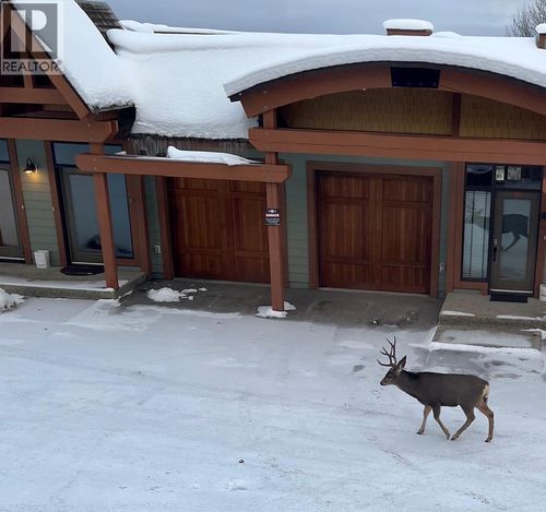 {{alt}} | Card Image