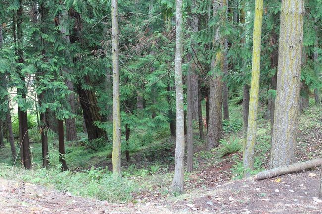 Rear lot is heavily private & treed, no one to bother you behind. Think about a deck out into the trees or a walkout basement? | Image 10
