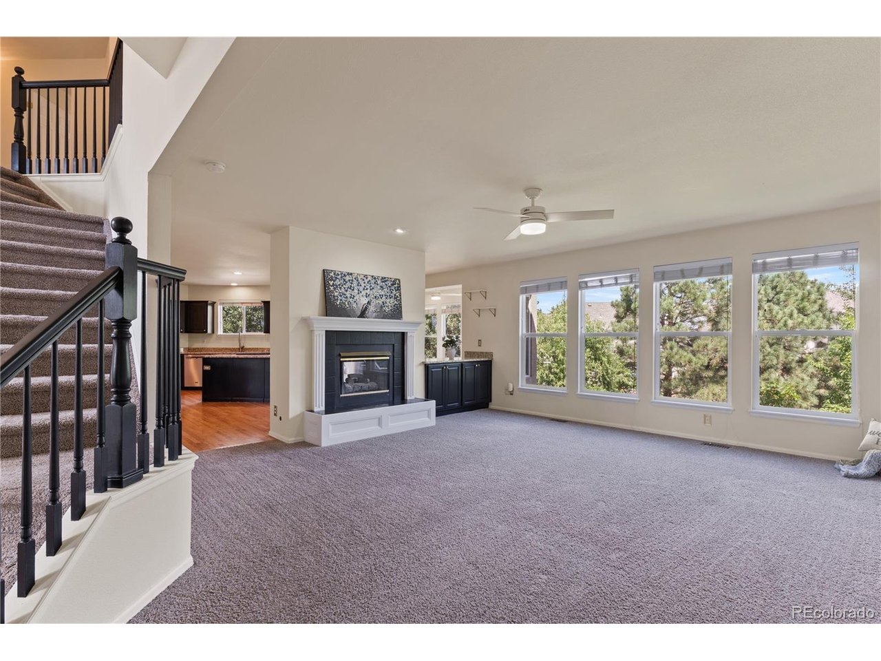 Residential in Colorado Springs 4