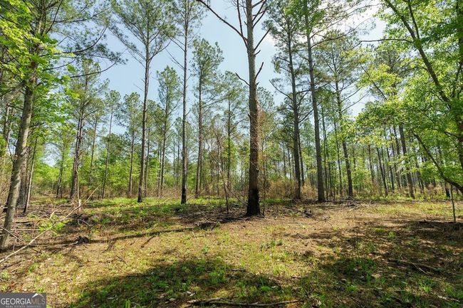 6053 Sun Hill Grange Rd, Home with 0 bedrooms, 0 bathrooms and null parking in Davisboro GA | Image 100