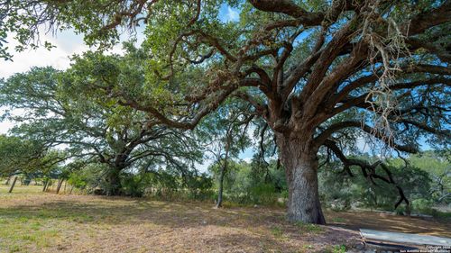 3638 Fm 2579, Floresville, TX, 78114-4897 | Card Image