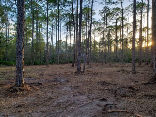 31 Cross Creek Cir, Freeport, FL, 32439-3721 | Card Image