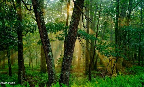 106 Lillypad Ln, Hawley, PA, 18428-7869 | Card Image