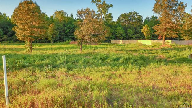 LOT-8-MAJESTIC-OAKS - 144 Majestic Oaks, Home with 0 bedrooms, 0 bathrooms and null parking in De Berry TX | Image 4