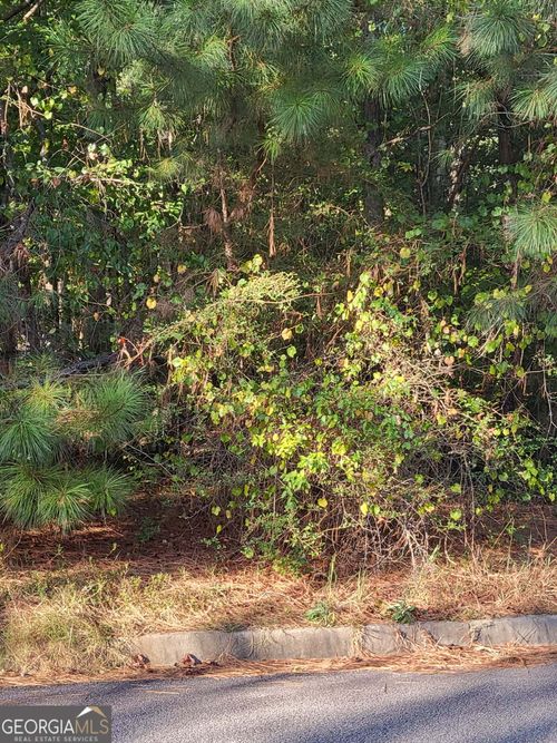 1013 Columbus Dr, Jonesboro, GA, 30236-5585 | Card Image