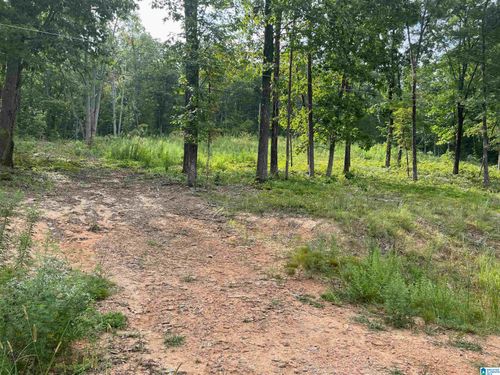 24-495 Anderson Mtn Drive, ODENVILLE, AL, 35120 | Card Image