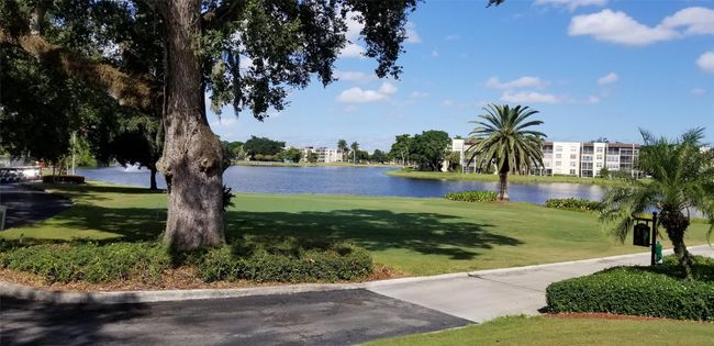 Putting Green | Image 19