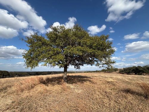 000 Watch Hill Ln, Stonewall, TX, 78624 | Card Image