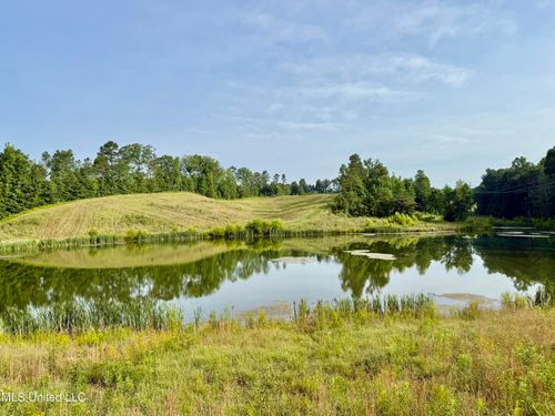 385 Albert Mcmillin Rd, Louisville, MS, 39339-8451 | Card Image